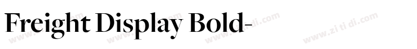 Freight Display Bold字体转换